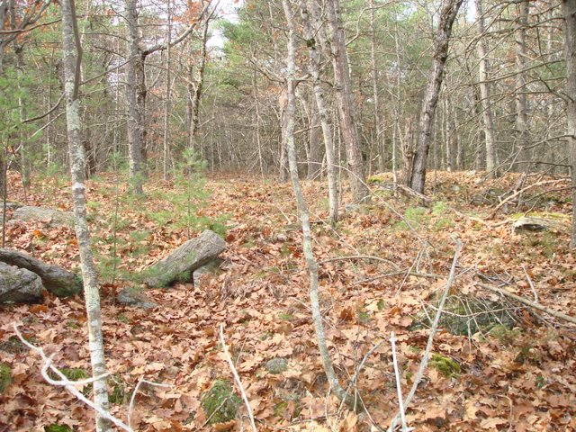 61 B State Road