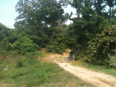 0007 Highway 61 South