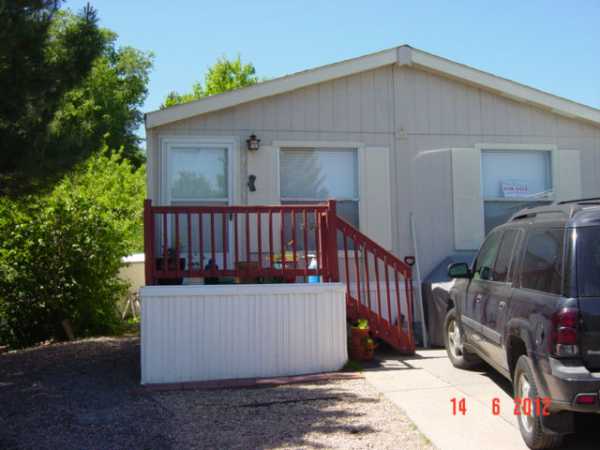 73 Pinecone St.