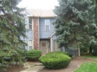 25 Tilia Ct