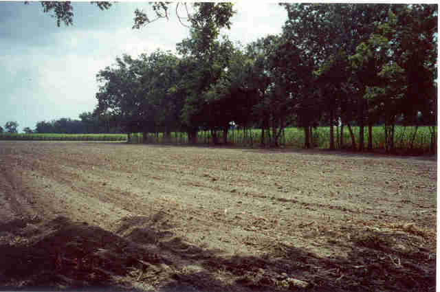 NORTH BARN ROAD