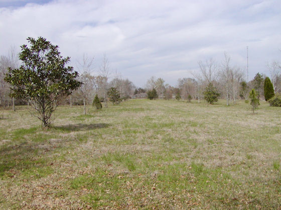 37236 Highway 74