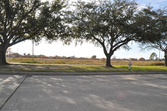 Bullard Ave near Lake Forest Blvd