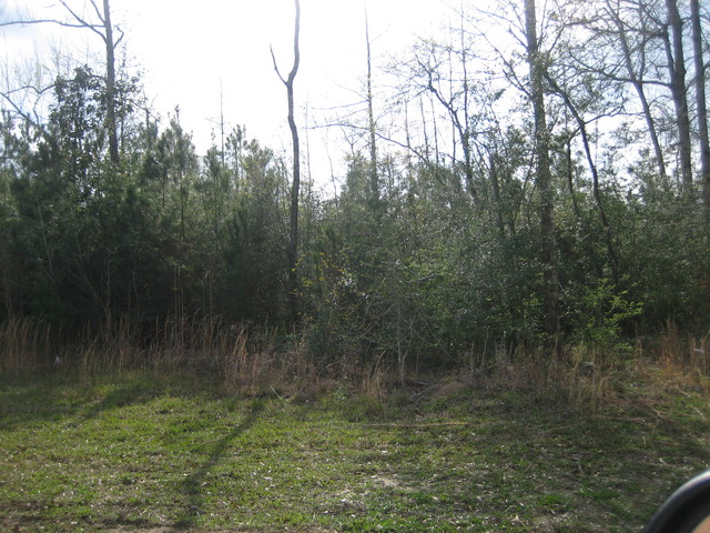 Strader Road