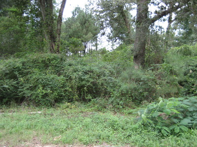 0 Hwy. 59