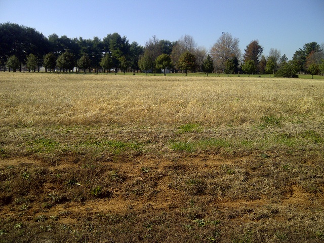 Lot 11 Wildcat Lane