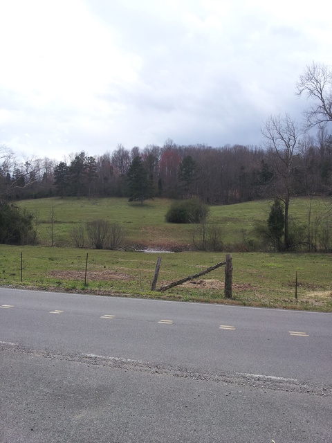 16163 Fork Creek Road
