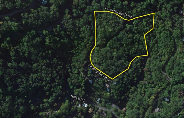 Forest Springs Drive