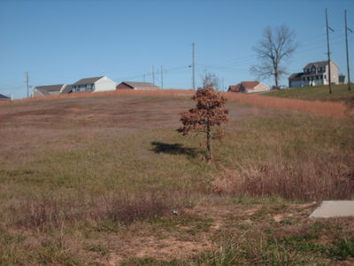 111 Bluebell Circle