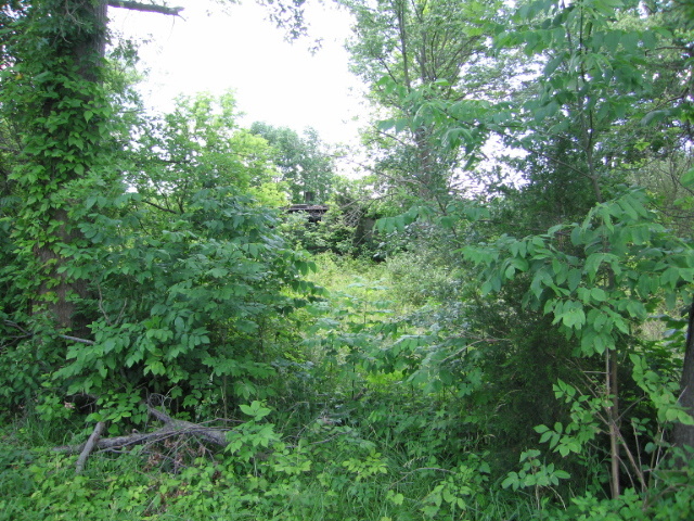 173 Griffis Lane