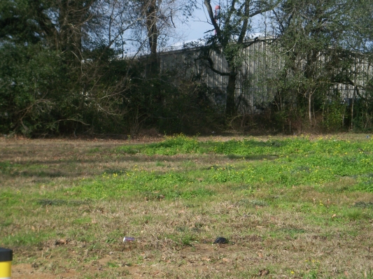 Pelican Park Drive Lot 11