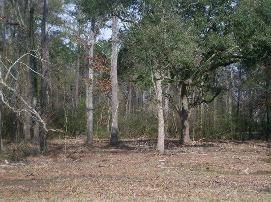 Pelican Park Drive Lot 9