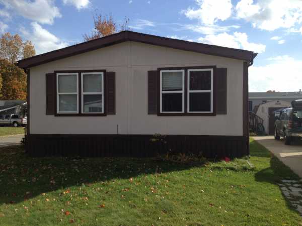 3893 Silver Birch