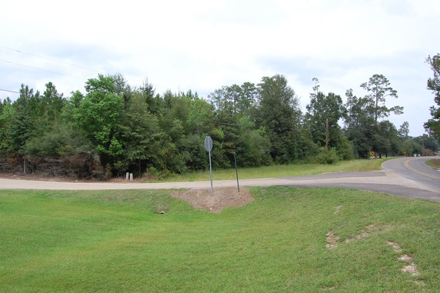 Highway 1037