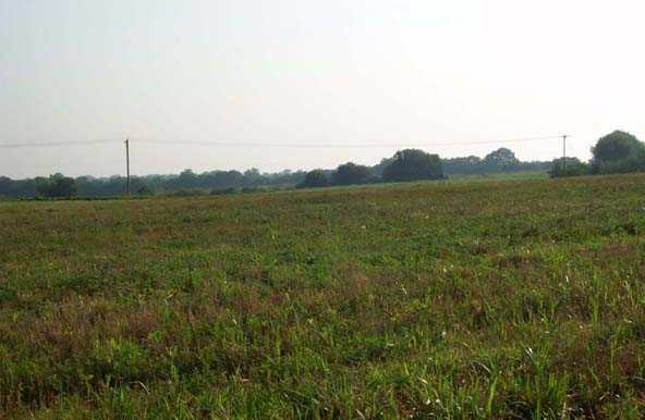 Lot 7 Boone Station