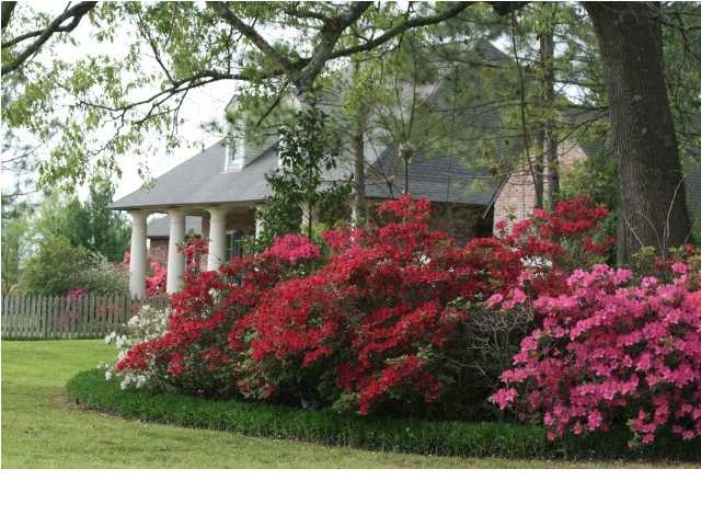 134 Ortego Ln.