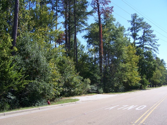 Highland Colony Parkway