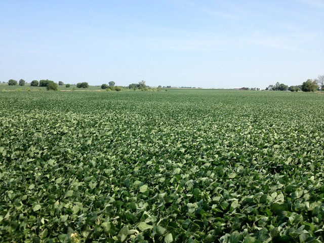 11055 N Route 47