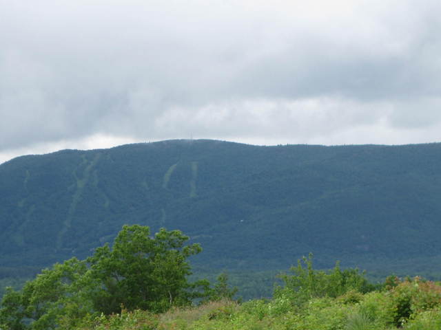 00 Clover Leaf Circle