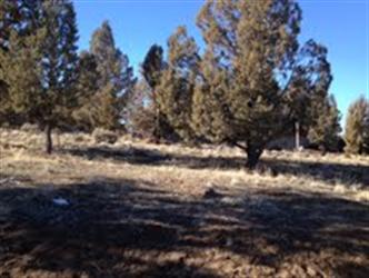 623 Goshawk Dr (Apn# 194856)