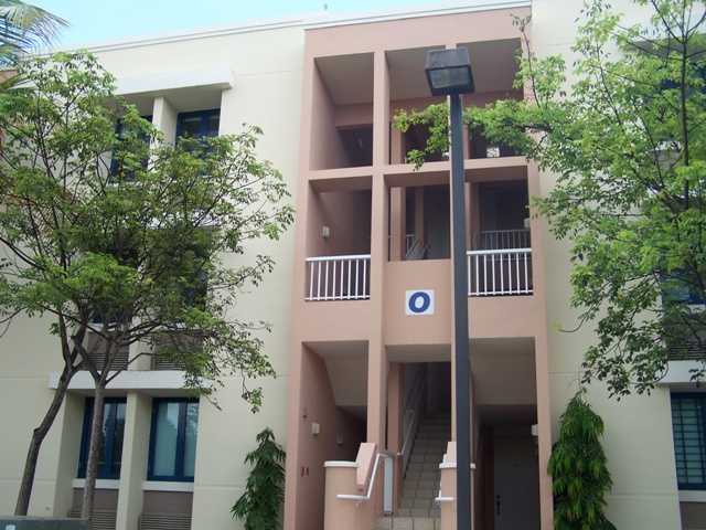 Palma Dorada Village Apto 2903