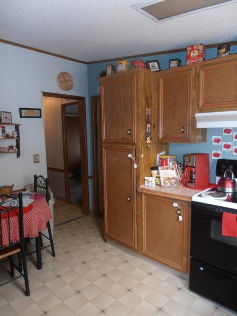 24 Woodsbluff Ct
