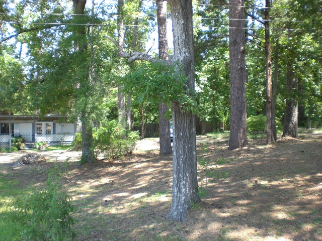 111 Spain Dr