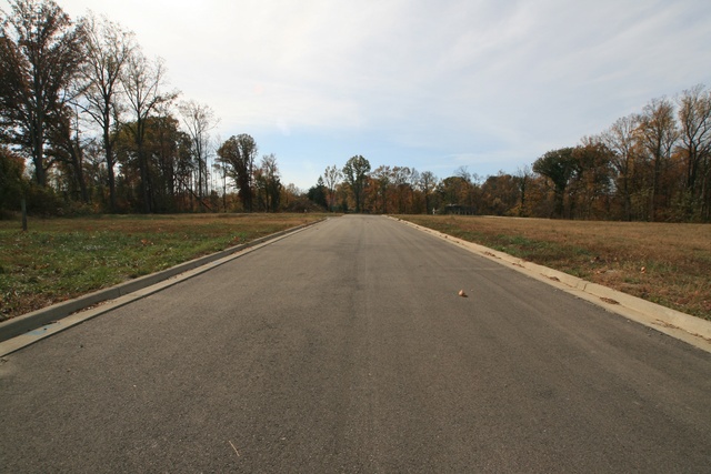 0 Forest Cove Lane