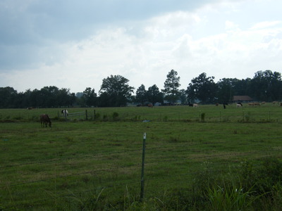 Ward III School Road