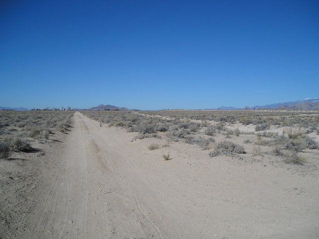 Artesia & Jade St