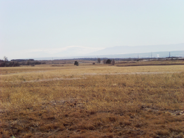 7955 CARAH DAWN VIEW