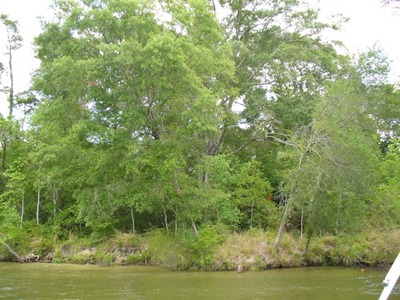 AMITE RIVER