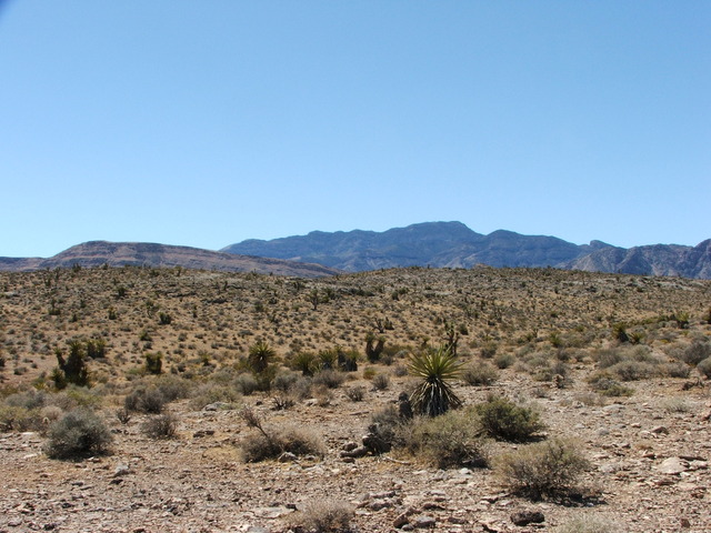 Blue Diamond Hwy