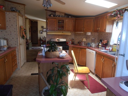 209 Goldenrod Ct