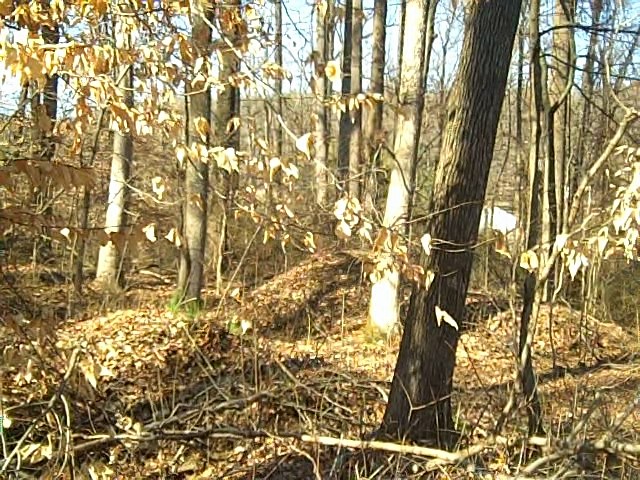 8402 Arnoldown Rd Ky