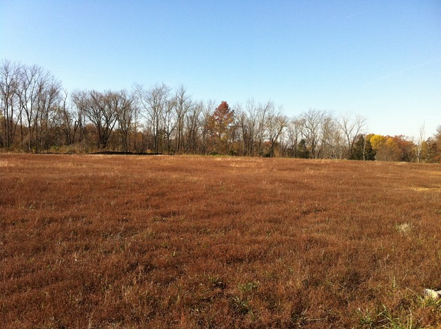 371 Huntertown Rd