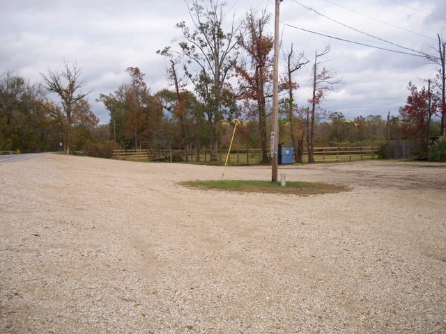 35019 ALLIGATOR BAYOU RD.