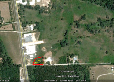 Bill Dyess Rd & Hwy 25 - Lot 5