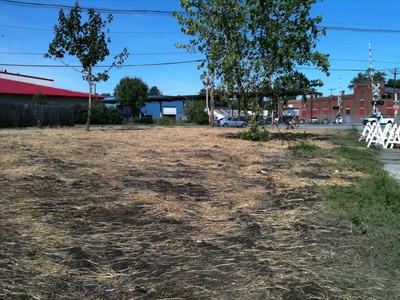 1333-1337 Shelby St.