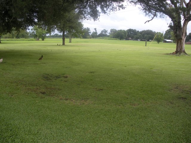 3245 GRAND POINTE HWY BREAUX BRIDGE, LA 70517