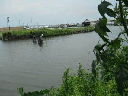 Destrehan Ave., Parcel H-1B-2