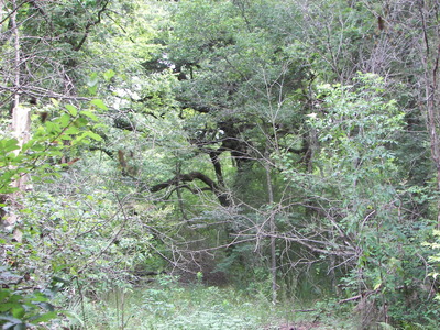 Lake Martin Rd