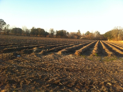 Acreage on Isle Labbe Rd/Hwy 96