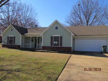 743 White Ash Dr