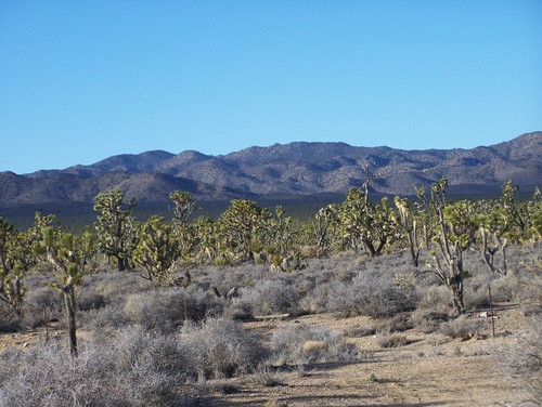 McCullough Mountain Range