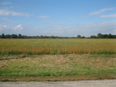 Lot 3 Ecker Lakeland Drive