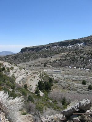 DAINES DR.