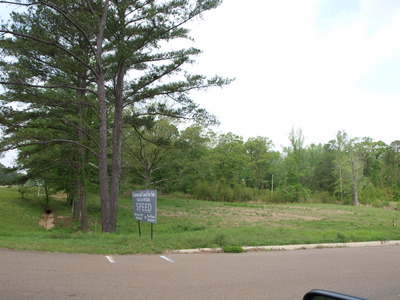 Highway 80