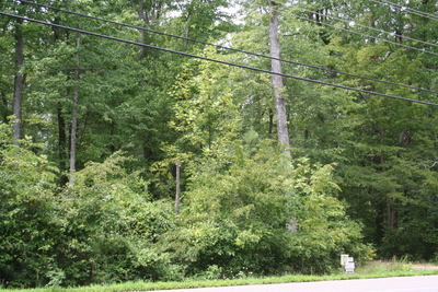 44935, 44905, 44925, 44935 Tiffany Way