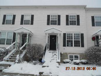 8290 Sugar Magnolia